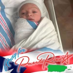 Meet your Posher, Harold